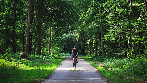 Ningbo Shenglu Bicycle Co., Ltd.